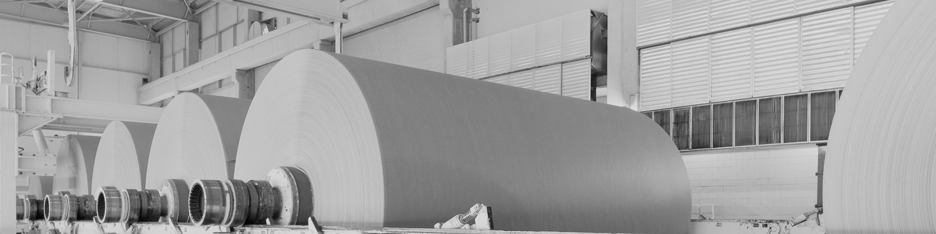 Große Papierrollen in einer industriellen Produktionsanlage